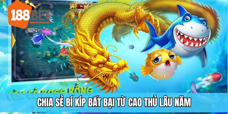 Bắn Cá Rồng Vàng 188BET - Hòa Mình Vào Sân Chơi Đẫm Kho Báu 4 Kinh nghiệm từ tuyển thủ sống gửi tới cho người dùng khi săn thưởng